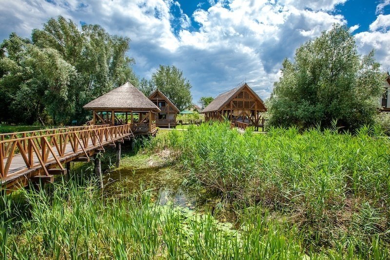 Beat-The-Crowds-In-Slavonia_Nature-Park-Kopački-Rit-2