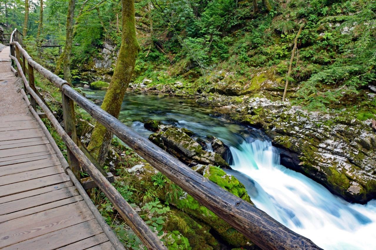 Best Day Trips From Lake Bled Slovenia_Vintgar Gorge - ForgetSomeday (1)