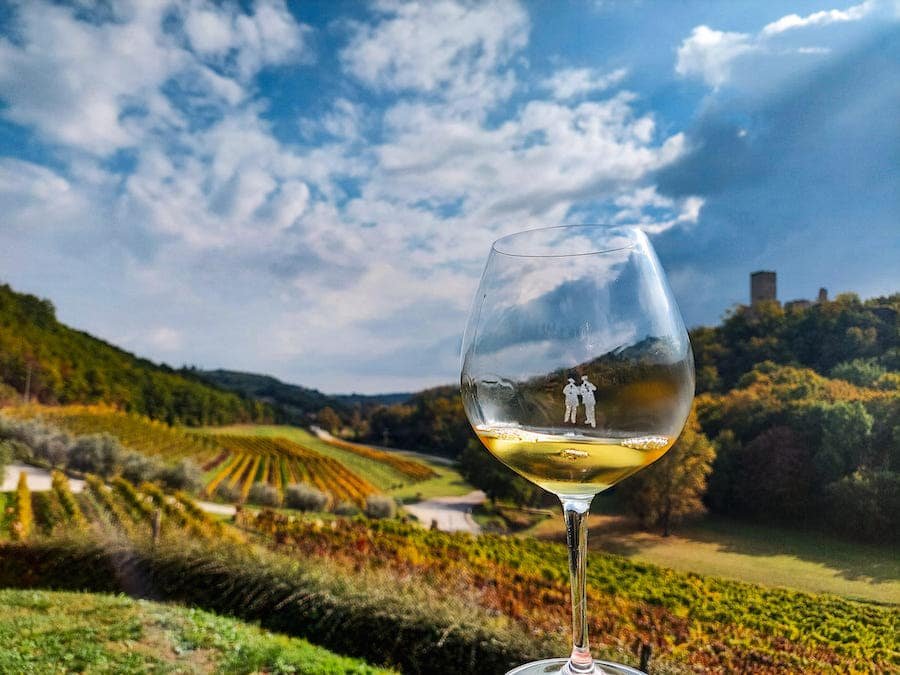 Croatia Travel Blog_Best Wines and Wine Regions In Croatia_Kozlović