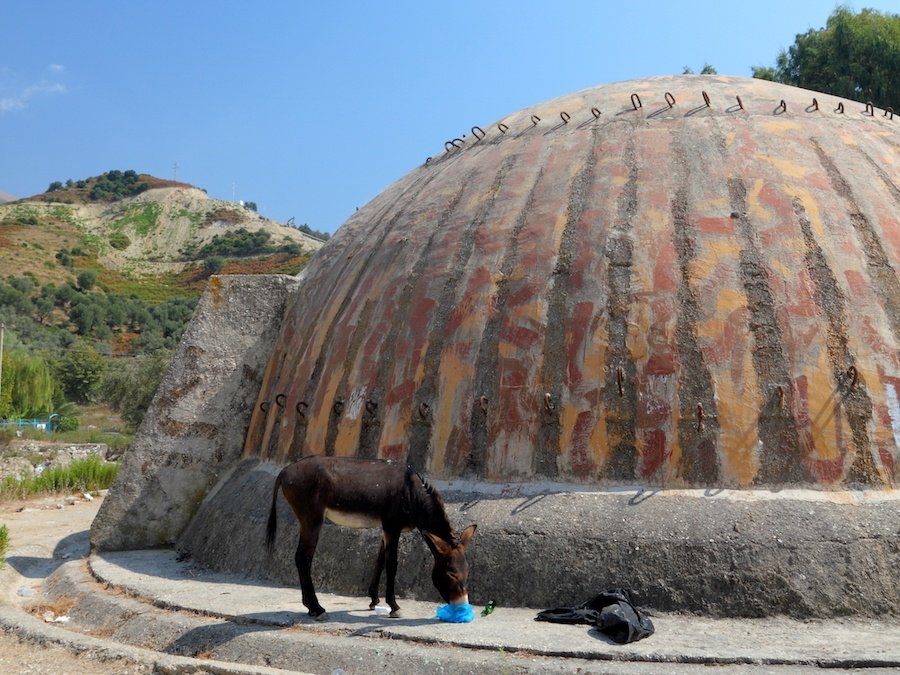 Albanian Souvenirs - Donkey feeds besides bunker in Albania