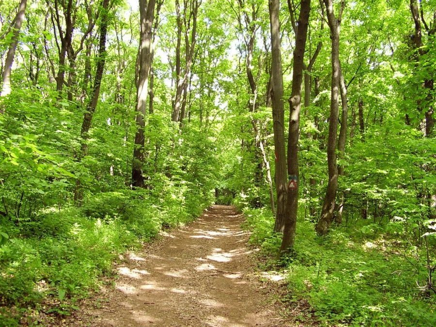 Fruška Gora National Park - Best Day Trips from Belgrade, Serbia