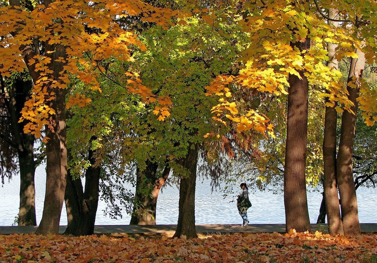 Herastrau Park in Bucharest - Top Things to Do in Bucharest, Romania