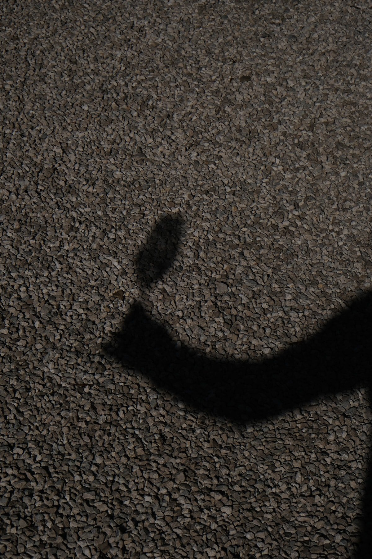 A shadowy figure wields a tennis racket, showcasing their agility and finesse.