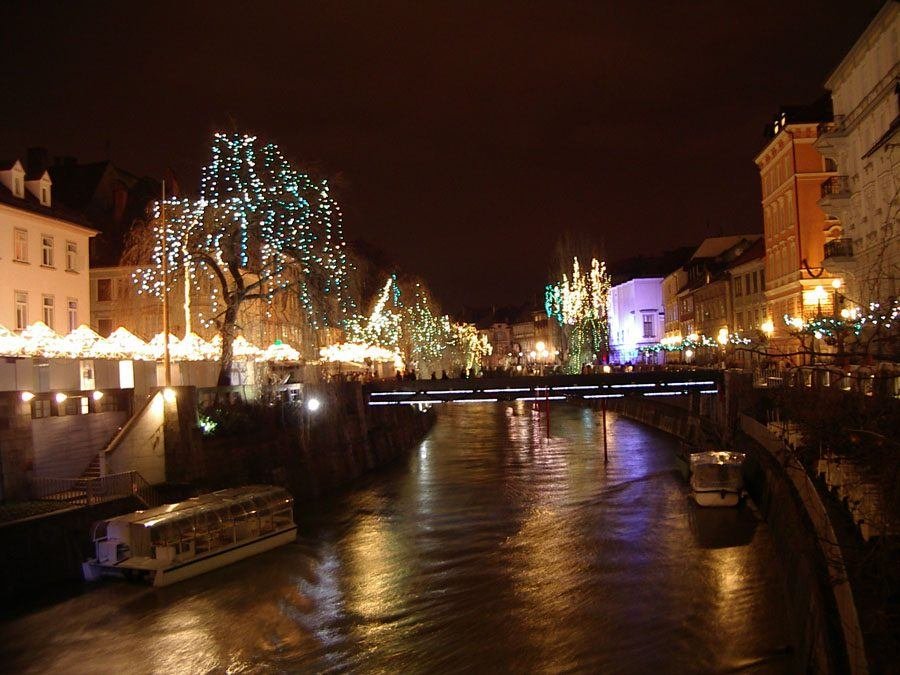 Things to do in Slovenia_The Bridges of Ljubljana_Fishmarket footbridge