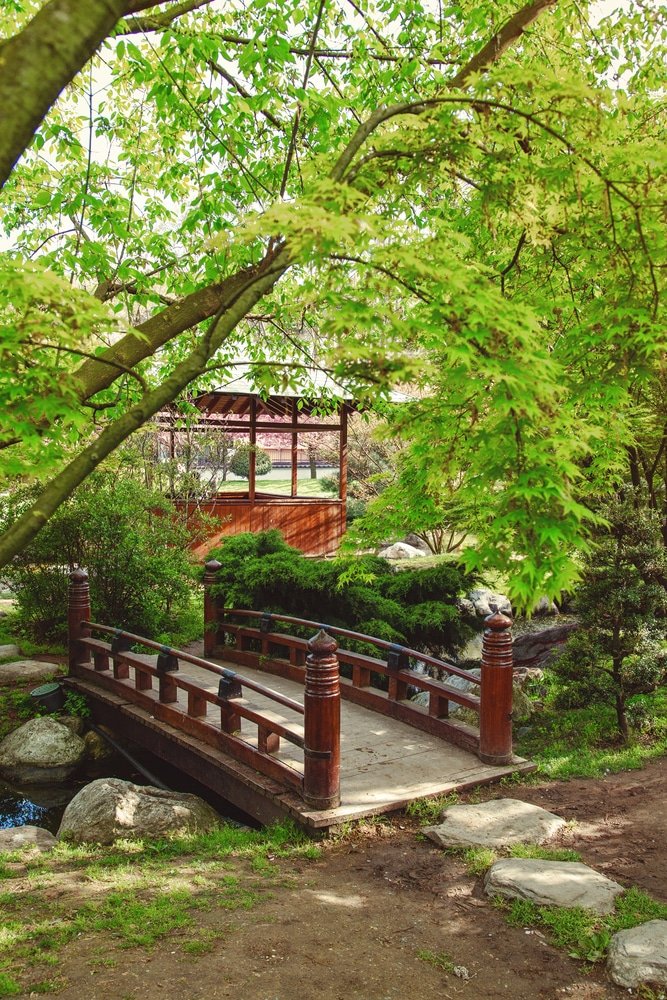 Hidden gems in Istanbul - The Japanese Garden in Istanbul 